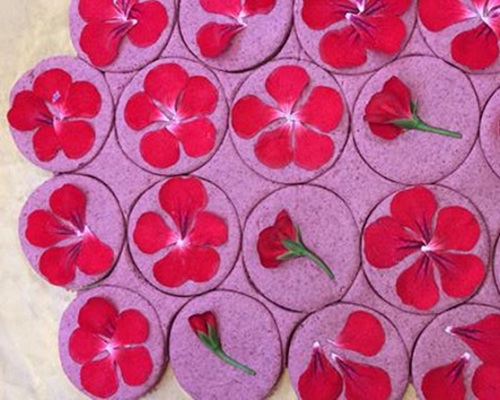 đặt hàng Lori Stern 