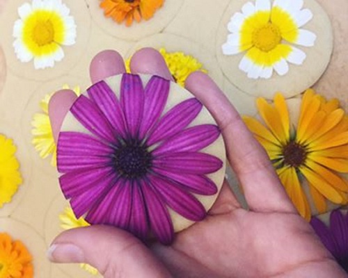 Những cánh hoa lớn 