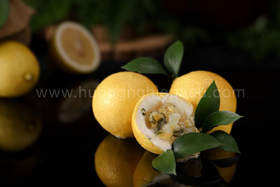 Học Làm Bánh Hiện Đại