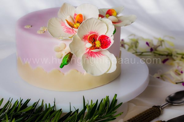 Cách tạo hình fondant hoa lan hồ điệp tinh tế, độc đáo