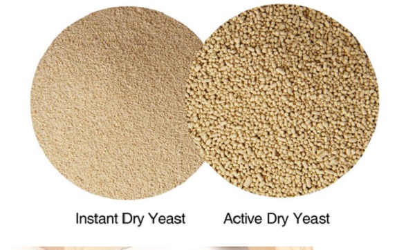 active dry yeast va instant yeast