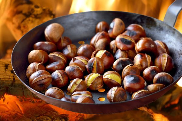 chestnut là gì