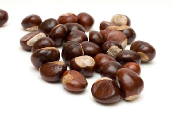 Hạt dẻ trùng khánh (Chestnut)