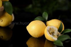 lemon shaped dessert