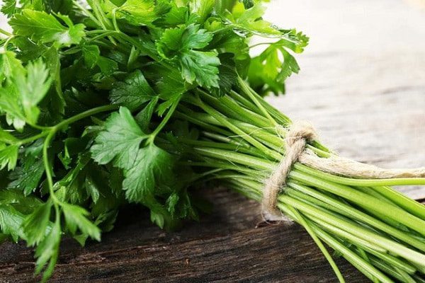 parsley gọi là rau củ hương thơm tây